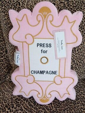 Press For Champagne Pink Pillow NWT